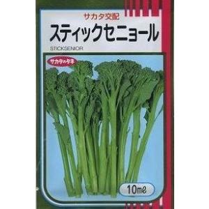 サカタのタネ（サカタノタネ） ブロッコリー おはよう 2000粒 （株