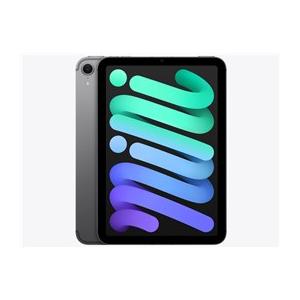 Apple iPad mini 第7世代 Wi-Fi 256GB MXNA3JA スペースグレイ【お