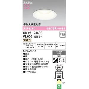 ODELIC（オーデリック） OD261733RS LEDダウンライト : でんきサロンま