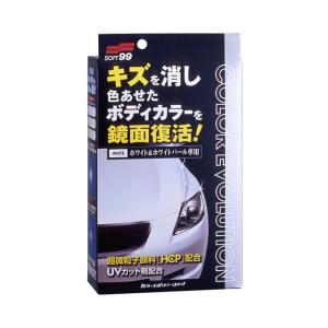 ソフト99 カラーエボリューション ブルー車用 W-183 00504 | カー