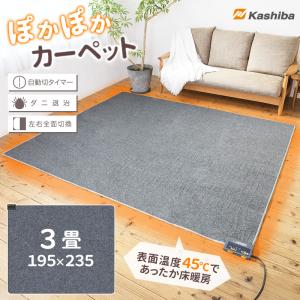 Panasonic（パナソニック） DC-3NKM ホットカーペット 本体のみ 3畳