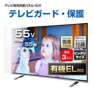テレビ保護パネル 55型 55インチ クリアパネル テレビガード テレビ