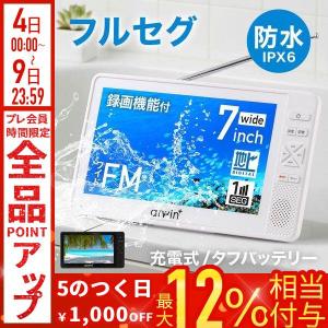 TEES 10.1V型 ポータブルテレビ ブラック PTV-101-BK ［10.1V型