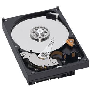 Western Digital WD GOLD HDD 1TB WD1005FBYZ ウエスタンデジタル