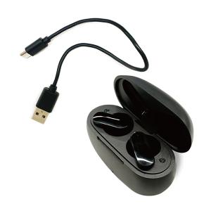 Panther Audio LEGEND K8(Universal Fit) 有線 イヤホン カナル型 耳