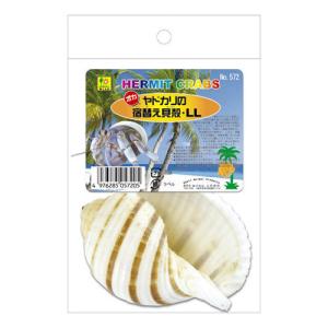 三晃商会]オカヤドカリの宿替え貝殻（L） : 小動物用品専門店e-ペット