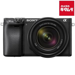 ILCE SONY ソニー α6100 ILCE-6100L パワーズームレンズキット