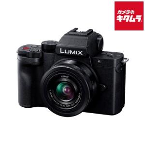 LUMIX Panasonic パナソニック ミラーレス一眼カメラ DC-G100D ボディ