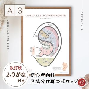 Beautear（ビューティア） 正規品 マグレイン 大容量 耳つぼシール 金