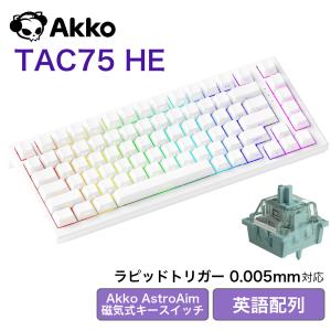 Sikakeyb Castle HM66 60% US配列 有線 8000Hz ラピッドトリガー対応