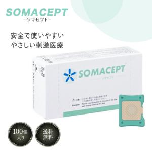 2個セット 東洋レヂン ソマニクス ソマレゾン L 100個入 一般医療機器