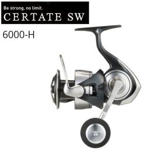 DAIWA（ダイワ） 23 ソルティガ 6000-H /C018M 未使用 ヒラスズキ 平鱸