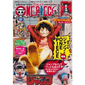 バンダイ公認 ONE PIECE CARD GAME 2nd ANNIVERSARY COMPLETE GUIDE (V