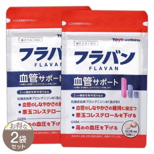 3袋セット 】 フラバン 血管サポート 15g ( 250mg × 60粒 ) 30日分