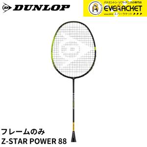 DUNLOP（ダンロップ） 『即日出荷』ダンロップ バドミントンラケット