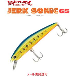 ウォーターランド ジャークソニック 65 (ミノー/ルアー ) /(5) 【Σ01