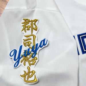 ☆送料無料☆北海道 日本ハム ファイターズ 日ハム 水谷瞬 サイン 黒