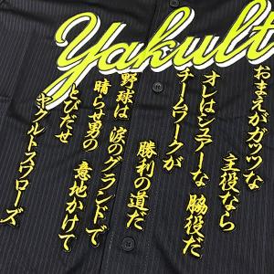☆送料無料☆東京 ヤクルト スワローズ 山田哲人 応援歌 白布 刺繍