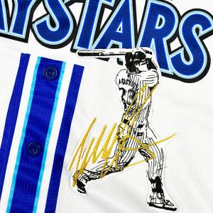 ☆送料無料☆東京 ヤクルト スワローズ つば九郎 シルエット 2 刺繍