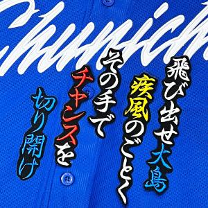 ☆送料無料☆埼玉 西武 ライオンズ 小島大河 ネーム 4 応援 刺繍