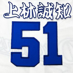 ☆送料無料☆中日 ドラゴンズ 上林誠知 背番号 & 毛筆 ホーム 応援