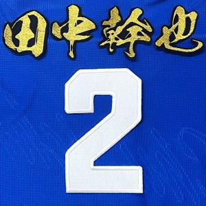 ☆送料無料☆中日 ドラゴンズ 田中幹也 背番号 & 勘亭流 ビジター 応援