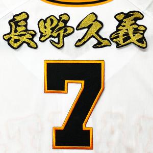 ☆送料無料☆横浜 DeNA ベイスターズ 成瀬脩人 ネーム 袖 応援 刺繍