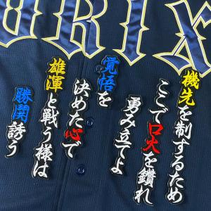 ☆送料無料☆読売 ジャイアンツ 巨人 岸田行倫 背番号 & 毛筆 応援