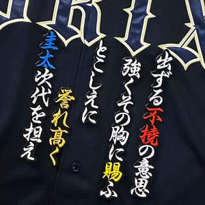 ☆送料無料☆オリックス バファローズ 藤川敦也 ネーム 袖 応援 刺繍