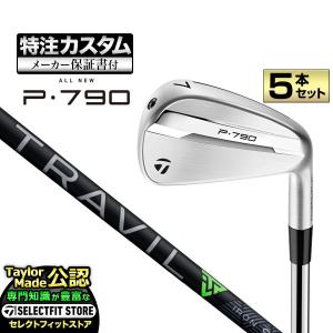 TaylorMade（テーラーメイド） P790アイアン TRAVIL IRON