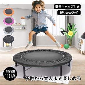 AEROLIFE（エアロライフ） トランポリン 家庭用 ホームジャンピング