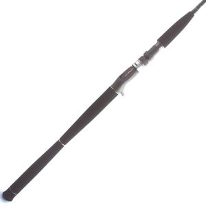 ソルダムゴースト SOMG604 ひしも (ベイトロッド) : シマヤ