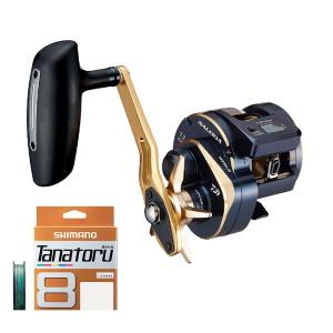 DAIWA（ダイワ） 21ソルティガ IC 300H-SJ カウンター付リール