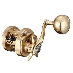 DAIWA（ダイワ） ソルティガBJ 200SHL ／ベイトリール