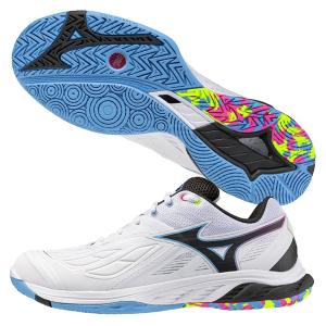 MIZUNO（ミズノ） （メンズ、レディース）バドミントンシューズ