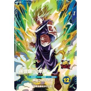 BANDAI（バンダイ） ドラゴンボールスーパーダイバーズ TEST-012