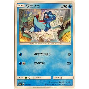 ポケモンカード 【SM9】 カメール 022/095 C 拡張パック タッグボルト