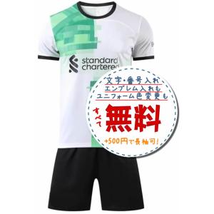 サッカーユニフォーム タイ代表（アウェイ：赤）20/21 大人用