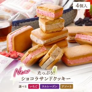 コロンバン 東京駅丸の内駅舎 チョコサンドクッキー 12枚 : 大野商店