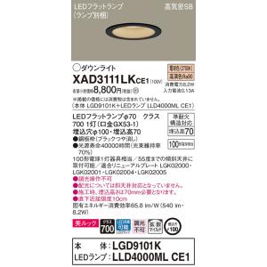 Panasonic（パナソニック） 【送料無料】 XAD3100NKCE1