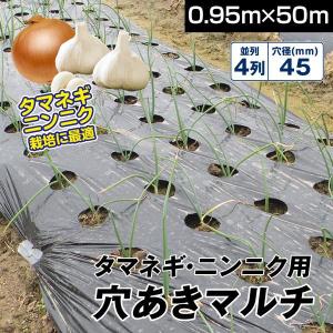 農業用マルチシート マルチング 農ポリ タマネギ・ニンニク用 穴あき
