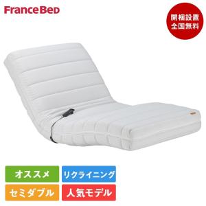 フランスベッド（FRANCEBED） 正規品 電動ベッド用 マットレス