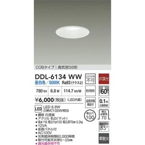 大光電機 安心のメーカー保証【送料無料】大光電機 DDL-6132AW 屋外灯