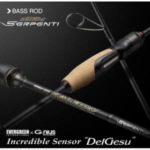 エバーグリーン カレイド インスピラーレ IRSC-63MHR-TG40X