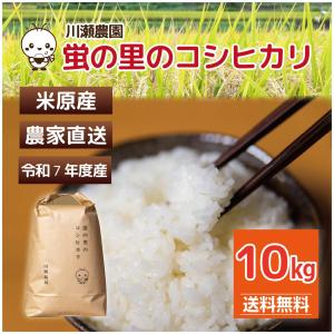 コシヒカリ 【コシヒカリ 毎月30個限定】30kg(10kg×3) 令和7年産 1等