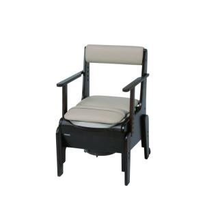 Panasonic（パナソニック） 家具調トイレ 座楽 ベーシック PN-L23316