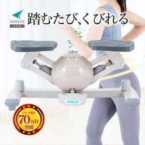 AEROLIFE（エアロライフ） ステッパー ツイストステッパー 1年保証