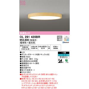 ODELIC（オーデリック） (送料無料) OL291416BR シーリングライト LED