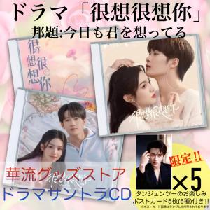 韓国ドラマ「都会の男女の恋愛法」日本語字幕 DVD TV+OST 全話収録
