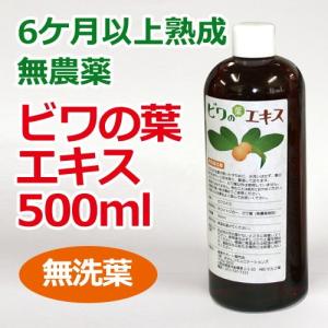 6ケ月以上熟成 無農薬ビワの葉エキス（無洗葉）500ml ※全国送料無料